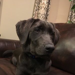 Meet your Posher, Angie